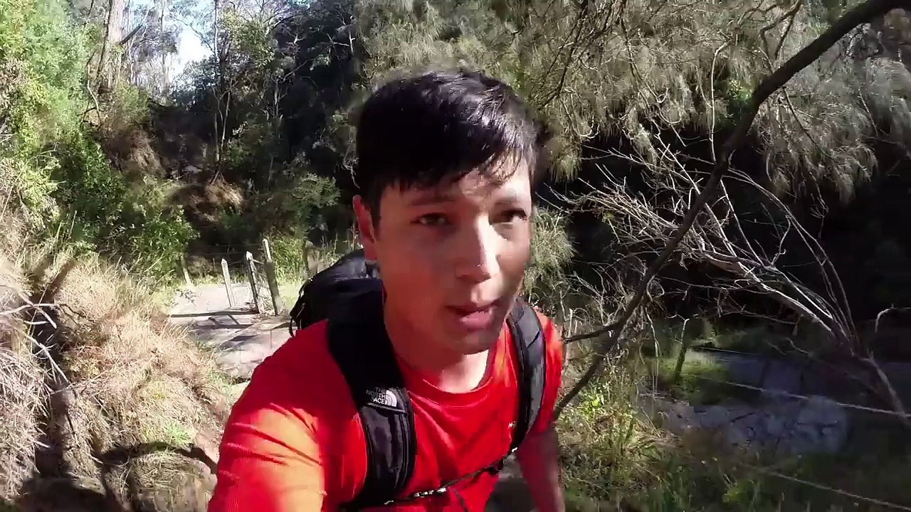 30 Day No Car Challenge   1MINaDAY