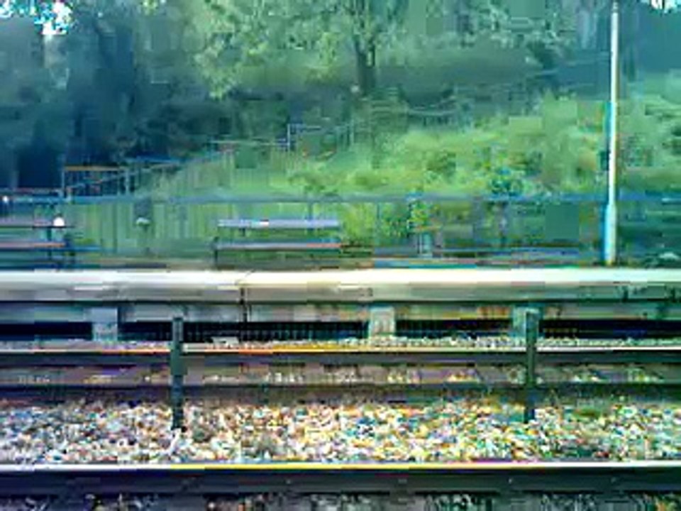 Brzi voz/vlak broj 415 ...- Zagreb - Beograd ~107 km/h u krivini