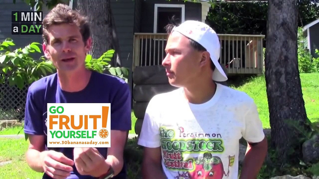 Is Refined Sugar OK The Great Debate   1MINaDAY