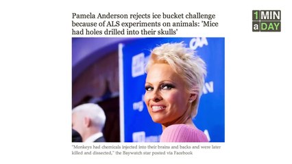 Why No One Should Donate to ALSA (ALS Ice Bucket Challenge)   1MINaDAY