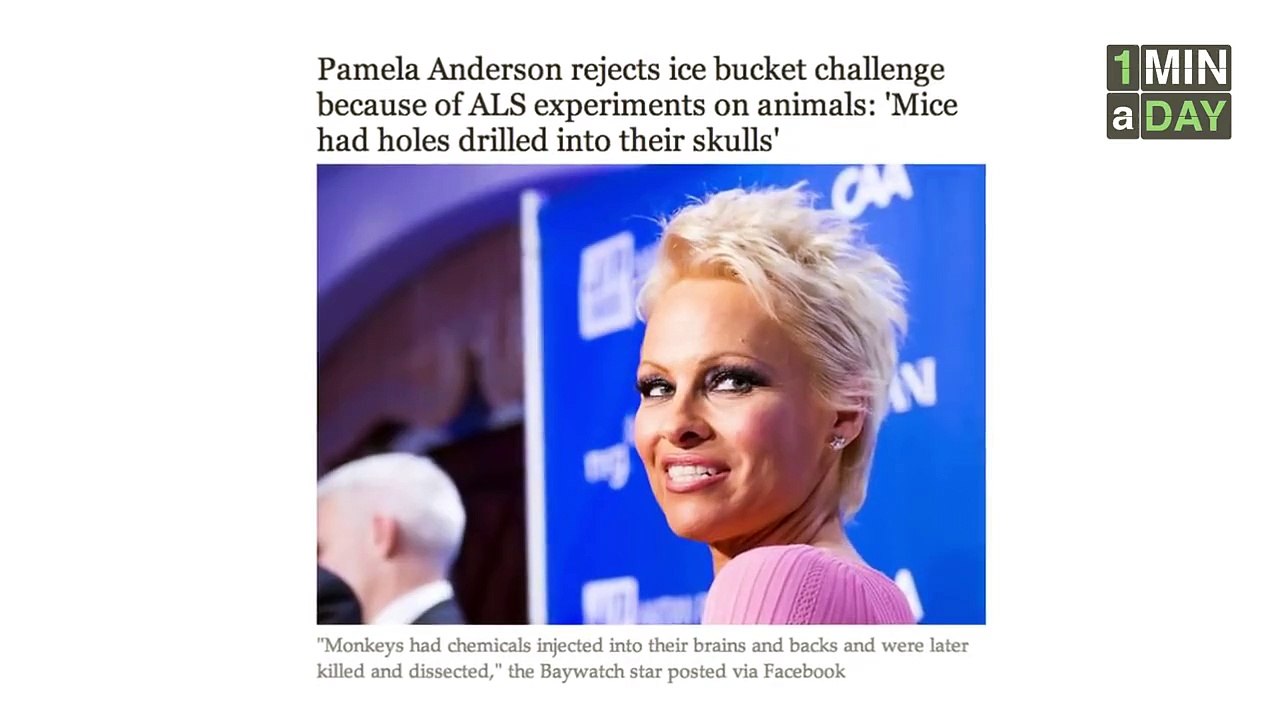 Why No One Should Donate to ALSA (ALS Ice Bucket Challenge)   1MINaDAY