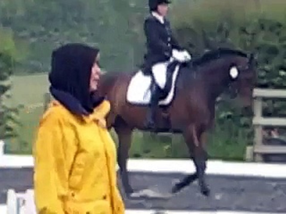 Dressage Show (2nd Level) Elementary test