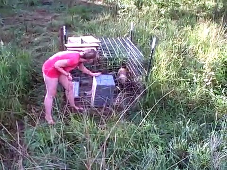 A Girl and Her Pig