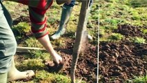 Community Farm Tree Planting Day, 25-02-12