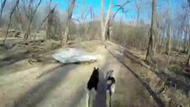 GoPro Hero 3 Husky Bikejoring