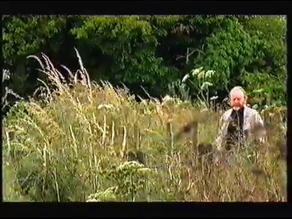 Secrets Of The Dead - Sounds From The Stone Age