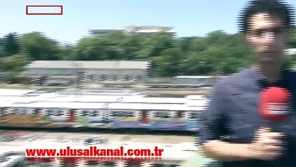Haydarpaşa Garı'nda 34 vagon çürümeye terk edildi