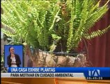 Una casa en Bolívar exhibe plantas para motivar el cuidado ambiental