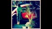 Natalia Lafourcade ft Devendra Banhart-Amor,amor de mis amores