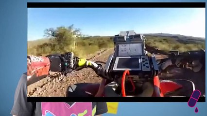 Doza de Has - Victor Tonta