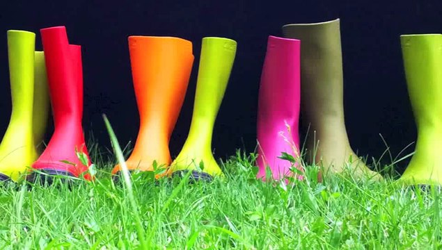 Tant Pis s'il Pleut Extraits concerts de 2013 à 2015