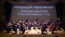 Mozart :A Musical Joke K.522 2mov