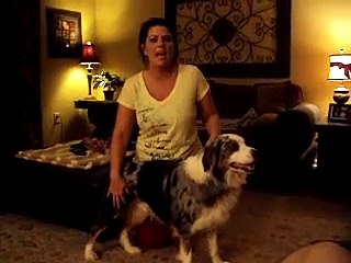 Dog Cone Alternative E-Collar Alternative video.AVI