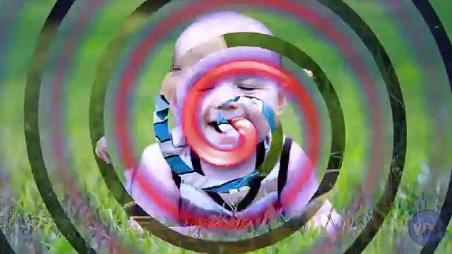 Transitions Happy Thoughts PHOTODEX PROSHOW