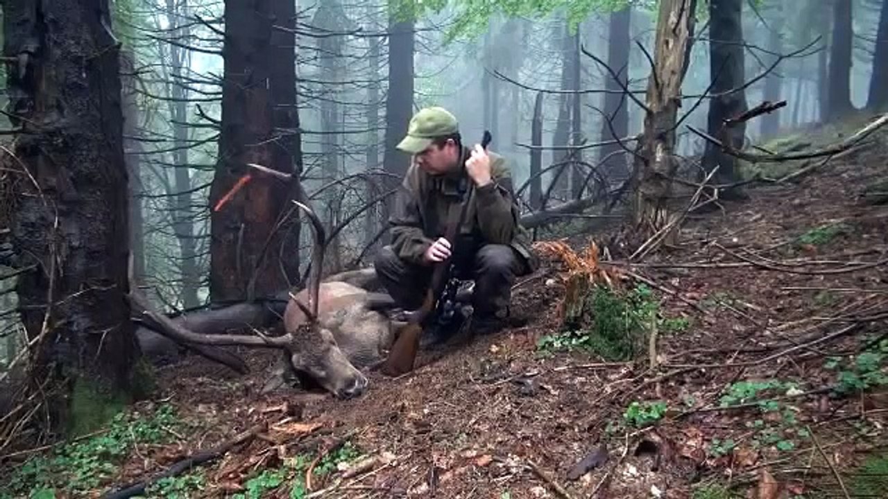 Tir d'un cerf au brame en Thüringe avec une RX-Helix cal 7x64-