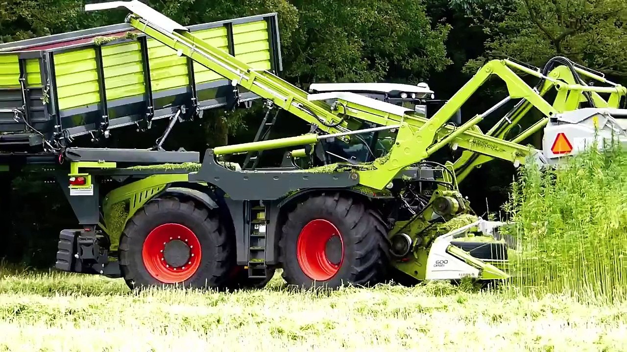 Harvesting fiber hemp _ Claas Xerion 4000 _ Vezelhennep oogst _ DunAgro