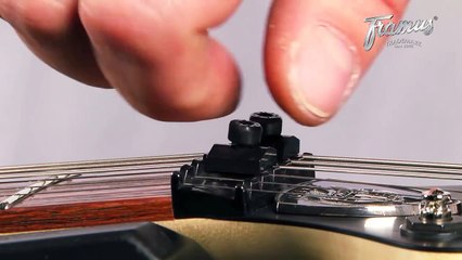 Framus Tutorial: Setup of a Guitar with a Floyd Rose Tremolo