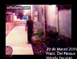 Alien Creature in Mérida, Mexico (Fake)