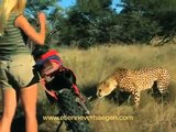 This Woman Has No Fear : Girl Raised As A Bushman Walking With Lions & Puts Herself In Danger [FULL]