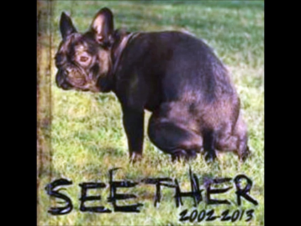 Seether - Seether (Veruca Salt Cover) LYRICS HD