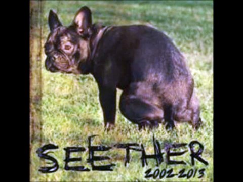 Seether - Seether (Veruca Salt Cover) LYRICS HD