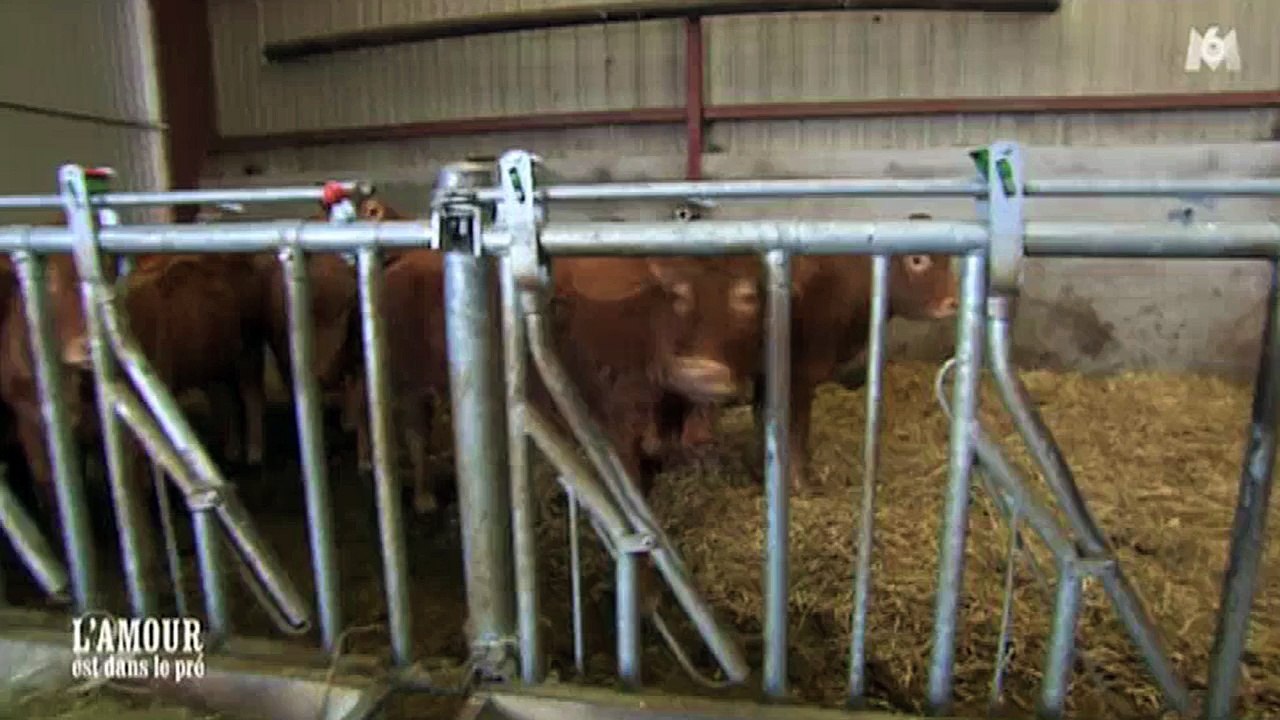 "L'Amour est dans le pré" : Cyrille et sa déclaration maladroite à sa prétendante