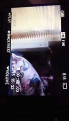 HILARIOUS VIDEO of girl getting shot!