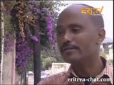 Eritrean comedy  Hagergef by Kidane Ghirmay - Eritrea TV