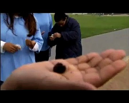 NATIONAL GEOGRAPHIC CHANNEL DEUTSCHLAND Frauengefängnis