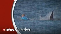 Surfer Fights Off A Shark Attack On Live TV During South Africa Competition
