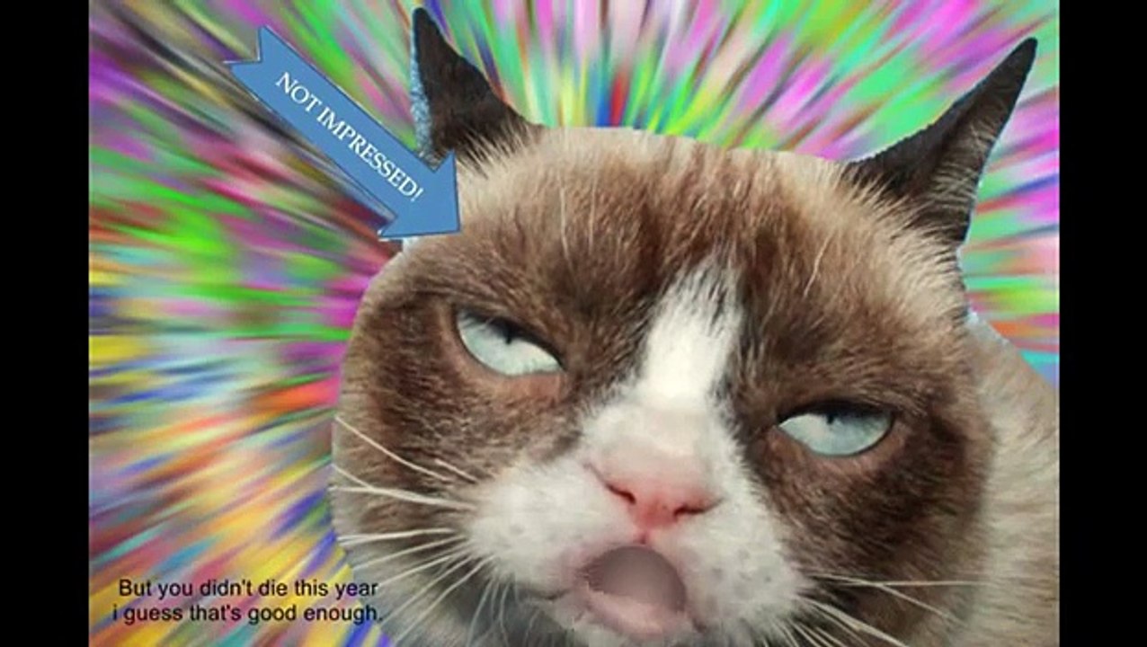 Grumpy Cat Happy Birthday!