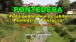 PONTEDERA  -  Pista pedonale e ciclabile da  Pontedera a Ponsacco