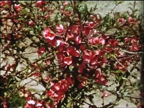 Brenne La pêche des étangs