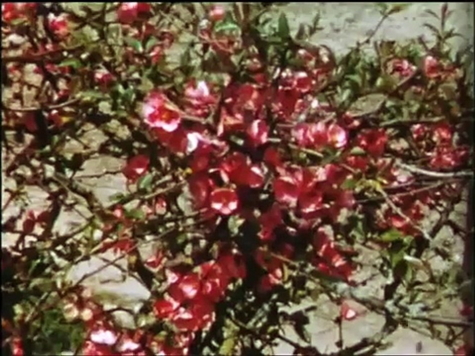 Brenne La pêche des étangs