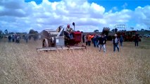 Antique 1937 Sunshine Auto-Harvester in action harvesting wheat