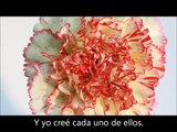 Falling Plates (Platos Cayendo) - Spanish Subtitles (Subtítulos en Español)