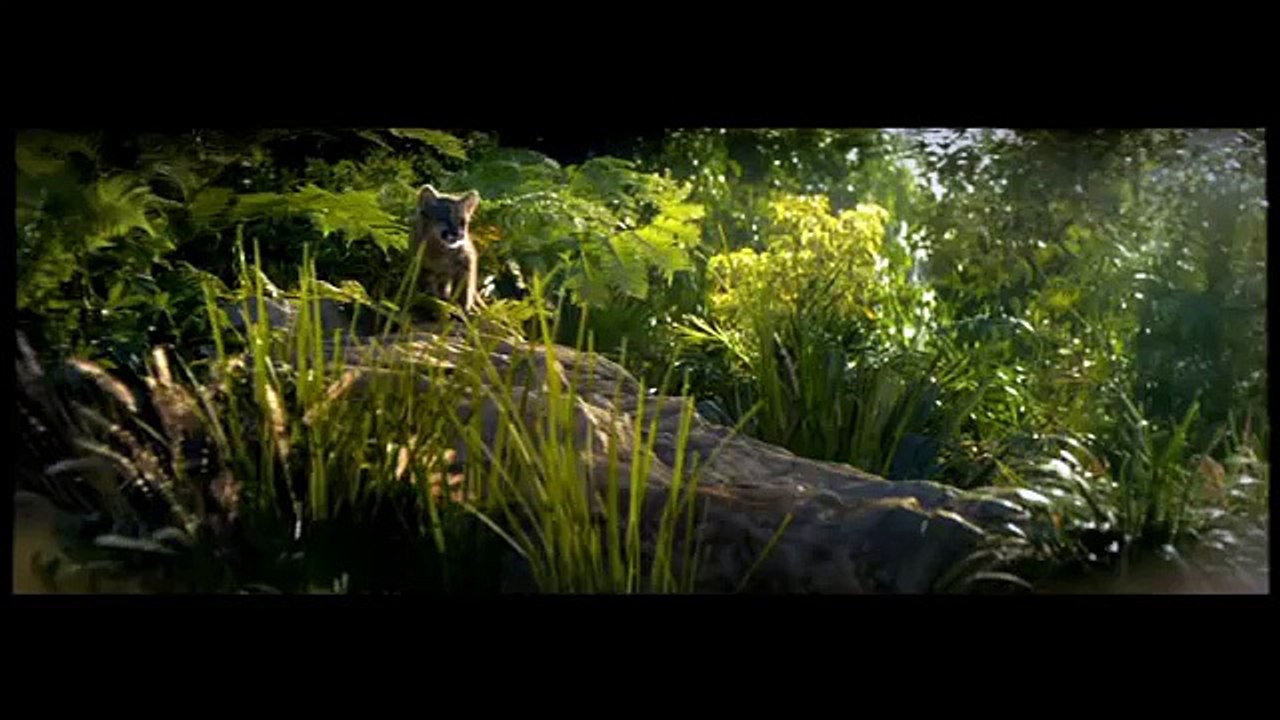 Pub Whiskas® Chaton