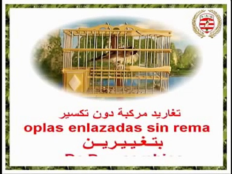 CÓDIGO DE CANTO DEL JILGUEROقانون تحكيم تغريد طائر الحسون