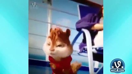 Best Cartoon Voice Over Vine compilation 2015 ● Funny Lip Reading ● Ep01 ✔ ★Vine Comp 2015