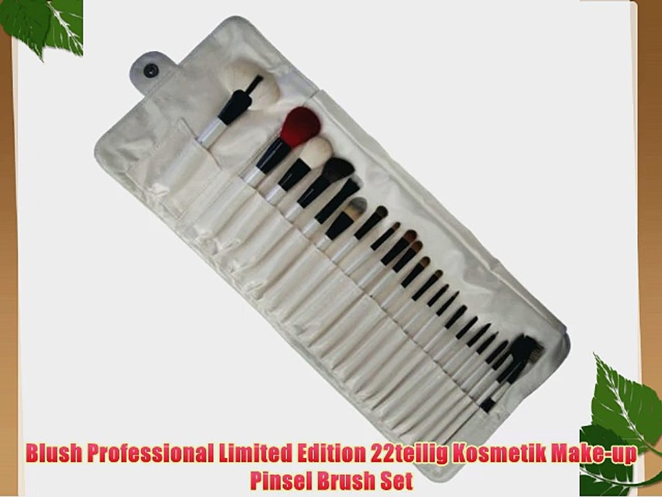 Blush Professional Limited Edition 22teilig Kosmetik Make-up Pinsel Brush Set