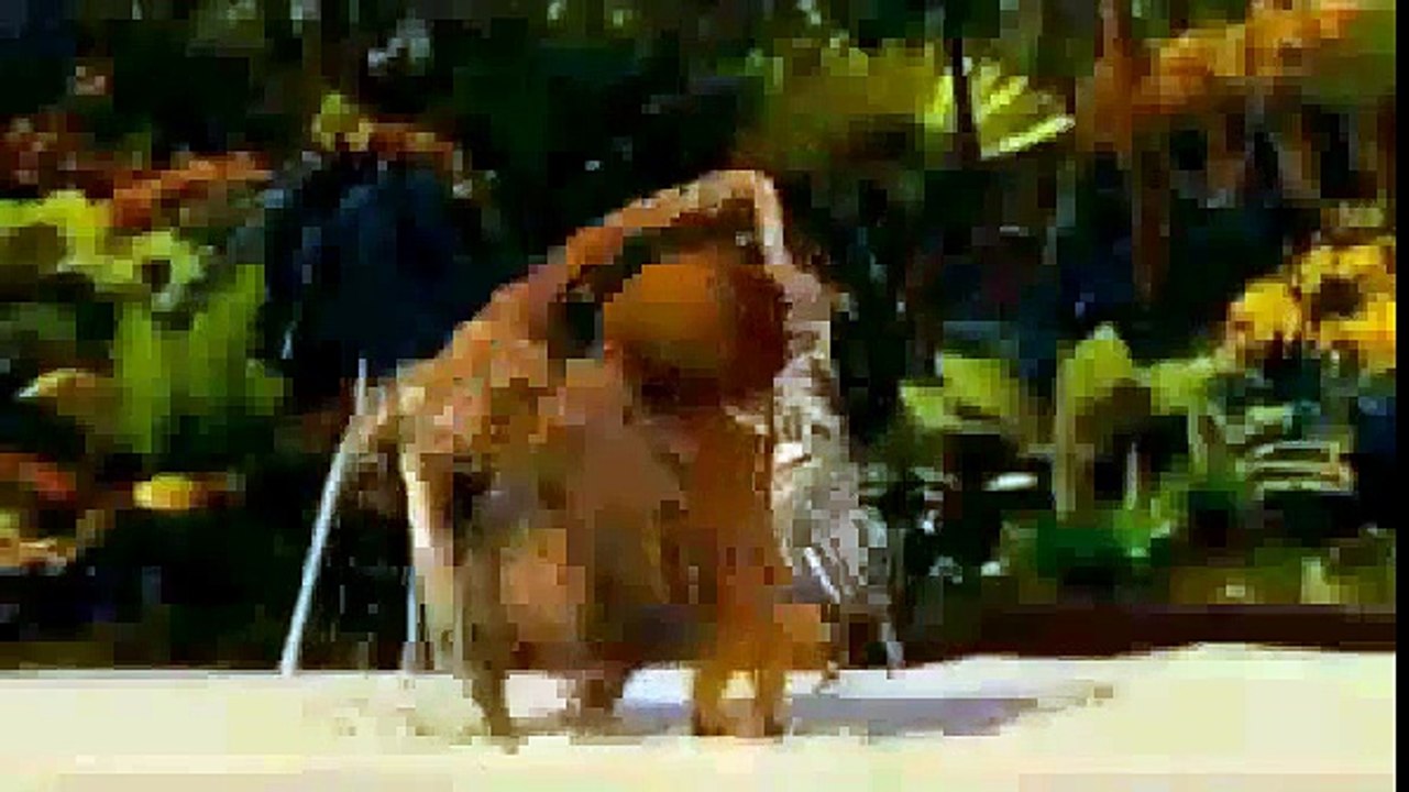 Cartoon network LA Cine cartoon 'Madagascar' Promo