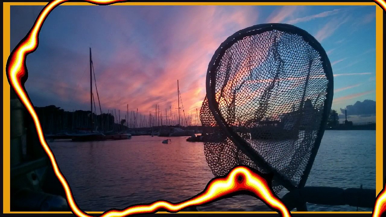 BRETAGNE SORTIES PÊCHE EN MER OLLIVIER BERRY MONITEUR GUIDE PÊCHE / BRITANNY SALTWATER FISHING