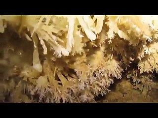 Gouffre des Charentais en 4 mn.