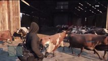 GTA 5 Online: Modded Animals / Riding Animals
