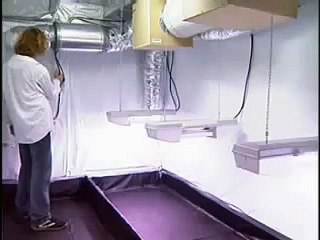 How to Build Your Own Indoor Marijuana Grow Room - A Start to Finish Guide (2 of 4)
