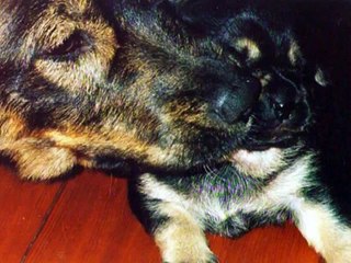 When October Goes - Rachel Wolf