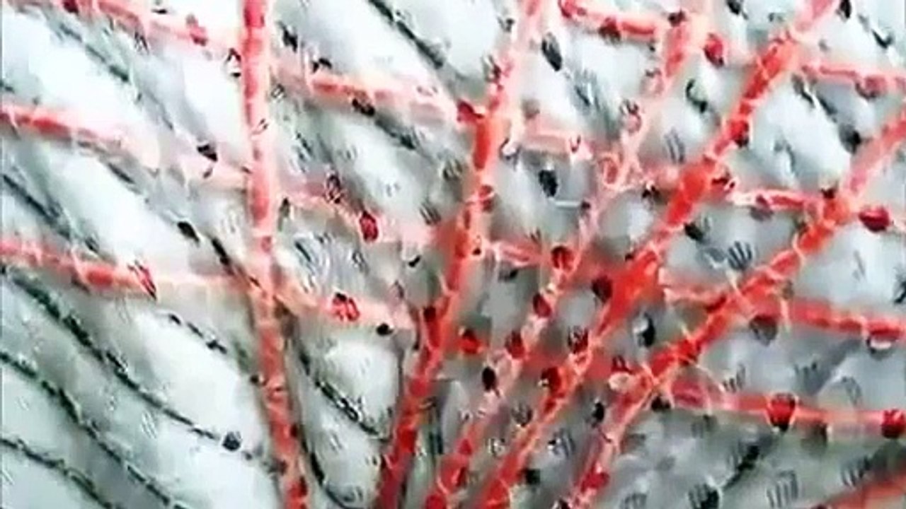 MISSION TO MARS: SPACE TRAVEL Discovery/Science/Space (documentary)