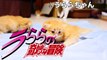 【替え歌】ジョジョのSTAND PROUD歌ってみた【マンチカンズ】~JOJO with cats 4~