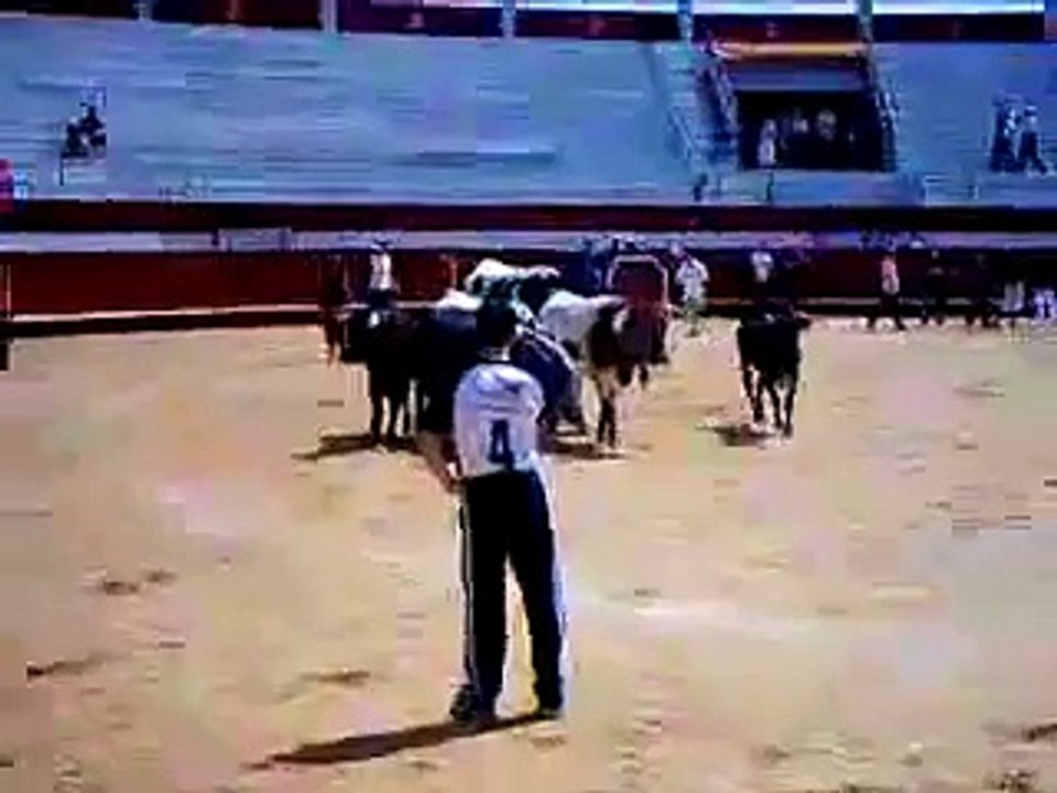 pillada de toro