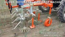 ROTOSARK WEEDING MACHINE BINEUSE ROW CROP HACKMASCHINE